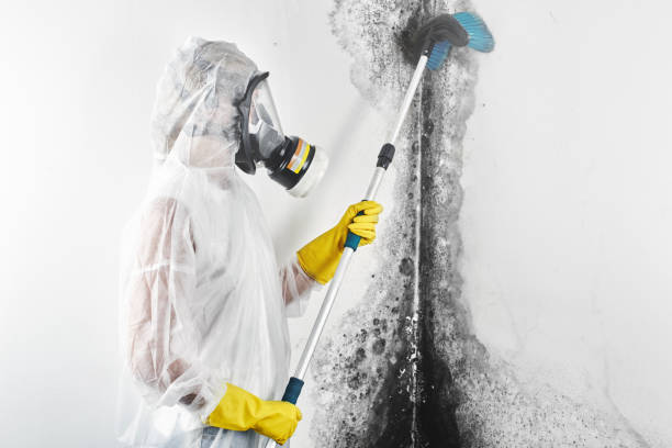 Best Air Quality Testing for Mold Spores  in Wona Lake, IN