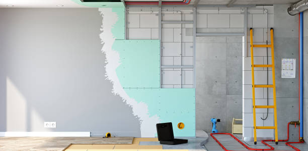 Best Emergency Mold Remediation  in Wona Lake, IN
