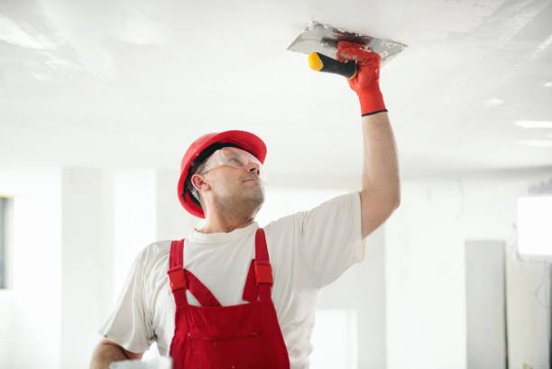 Best Water Damage & Mold Remediation  in Wona Lake, IN