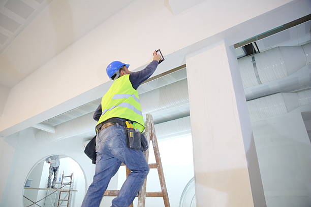 Best Industrial Mold Remediation  in Wona Lake, IN